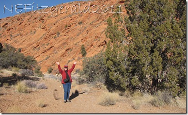 IMG_0568RedCliffsDesertReserve IMG_0568RedCliffsDesertReserve