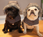 These hooded parkas will be great when the first snow falls on the farm, Franny, although I'm not looking forward to that!