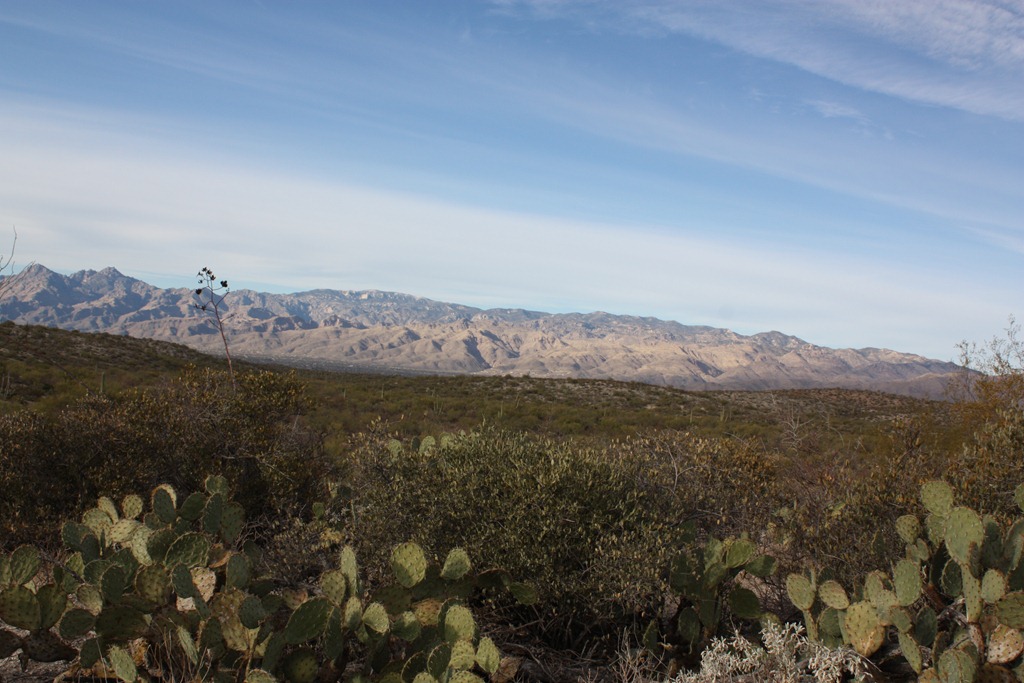 [saguaro%2520park-hike%2520175%255B4%255D.jpg]