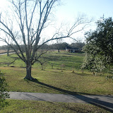CIMG8875.JPG