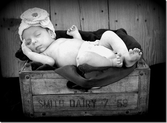tara 080bw