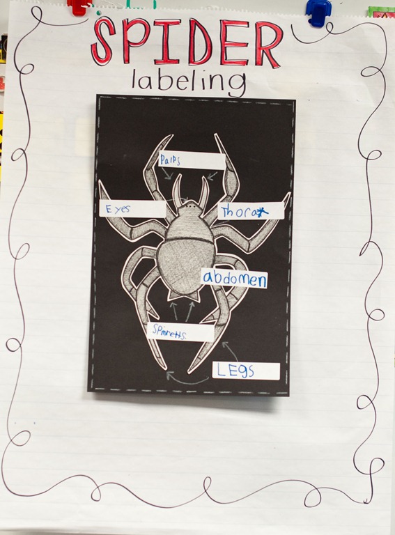 [school5%255B6%255D.jpg]