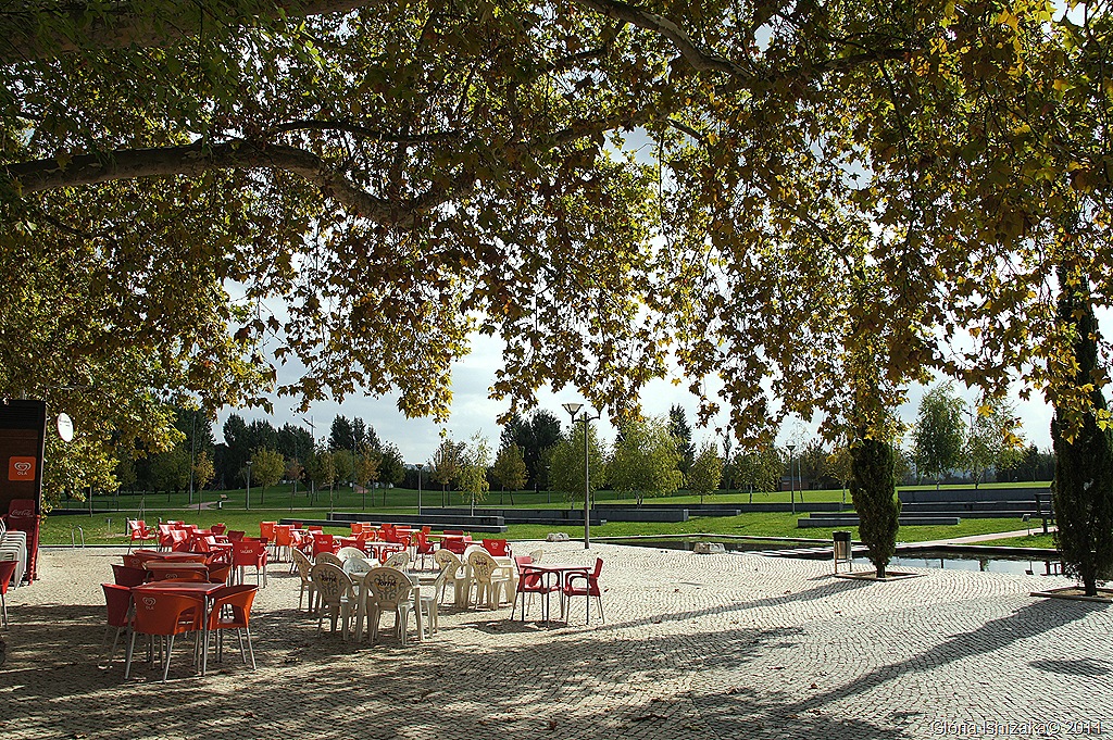 [50%2520Gl%25C3%25B3ria%2520Ishizaka%2520-%2520Vila%2520Nova%2520de%2520Barquinha%255B8%255D.jpg]