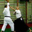 Aikido - [2009] Daito Ryu w Bumeikanie