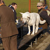 DSC04191.JPG