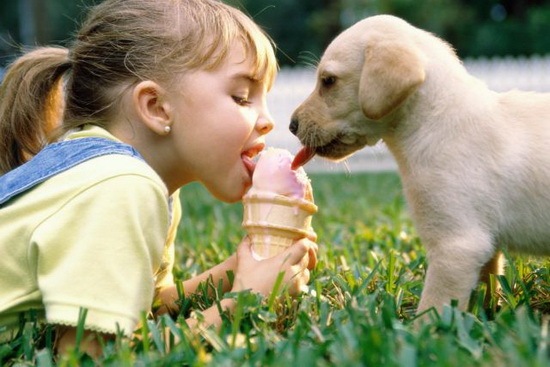 [animals-and-humans_20%255B2%255D.jpg]