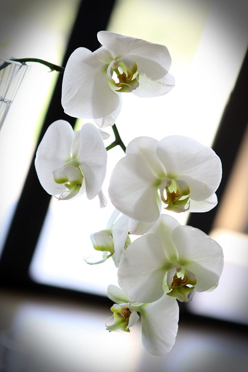 [IMG_8374%2520a%255B6%255D.jpg]