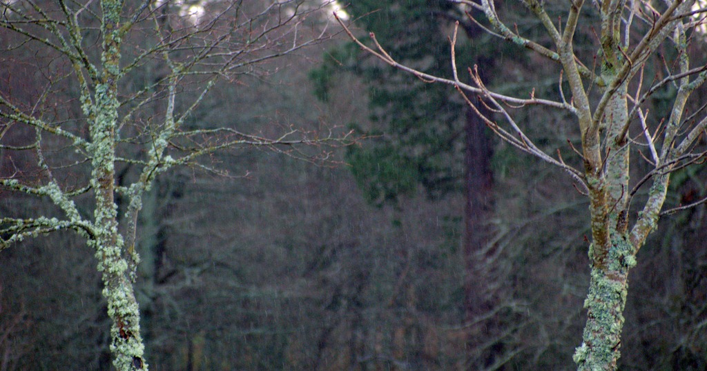 [8%2520Dec%25206%252005-01-2012%252011-12-54.ORF%255B3%255D.jpg]