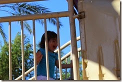 IMG_6512 IMG_6512