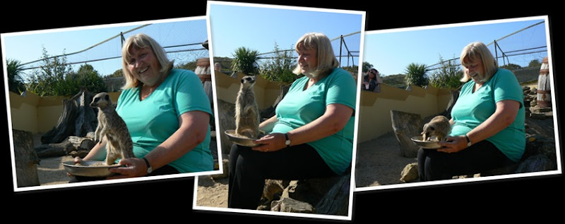 View Shirley Cundall 1