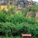 DSC_0312.JPG