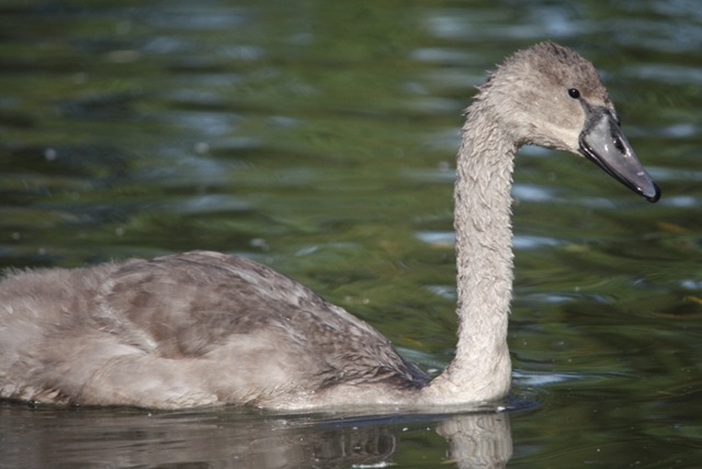 [IMG_1112%255B6%255D.jpg]