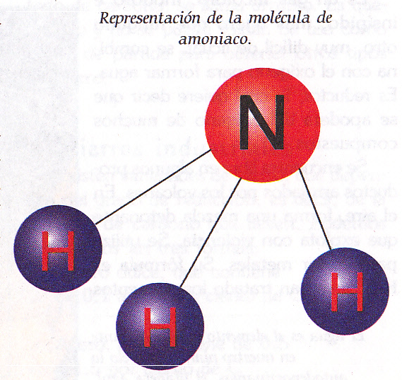 [image20.png]