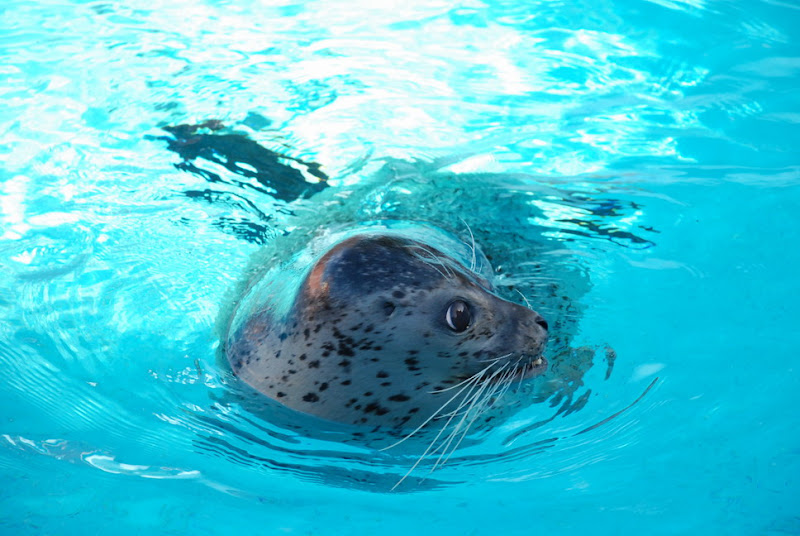 hokkaido_409.jpg
