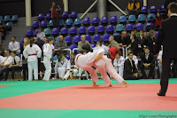 IMG_2730.jpg