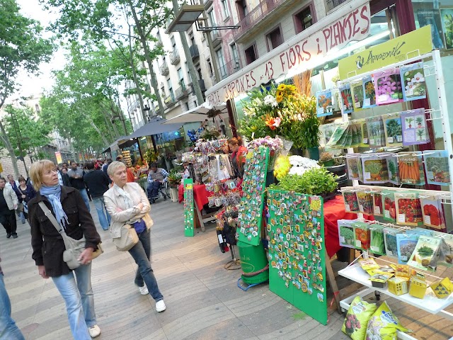L1320584.JPG
