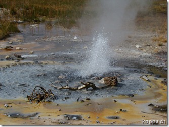 110825 NP Yellowstone (13)