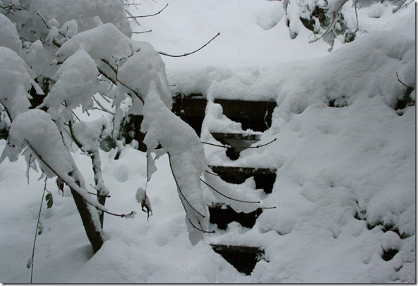 snowdays9