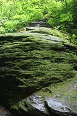 5tate Parks 2011 148