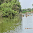 IMG_7760.JPG