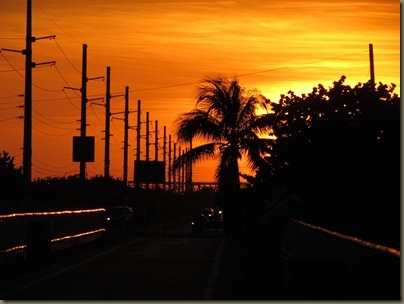 view from bridge at sunshine key