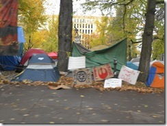 occupy PDX  12