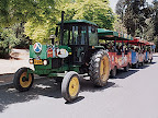 p1238295084(5).jpg