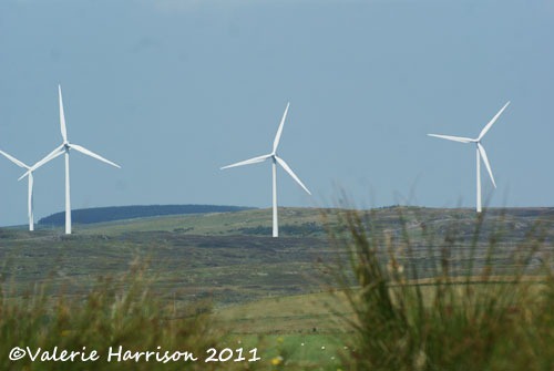 [2-wind-farm%255B2%255D.jpg]