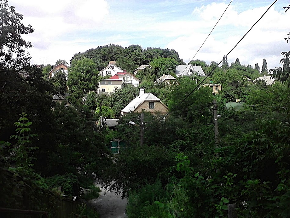 P300711_12.03.jpg