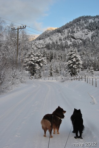 [Winter%2520018%255B3%255D.jpg]