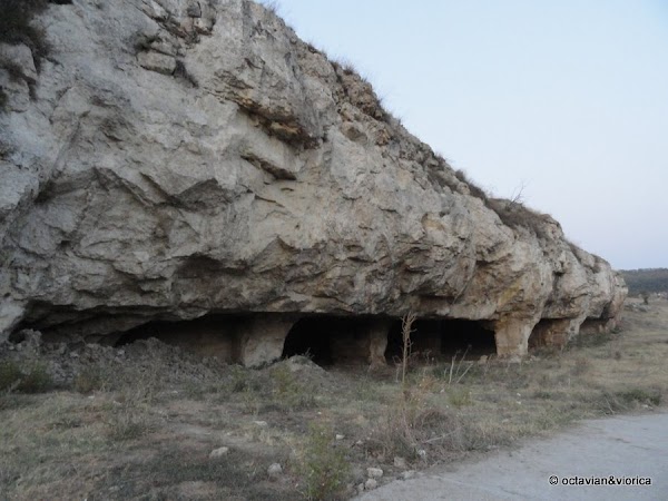 basarbovo-25.jpg