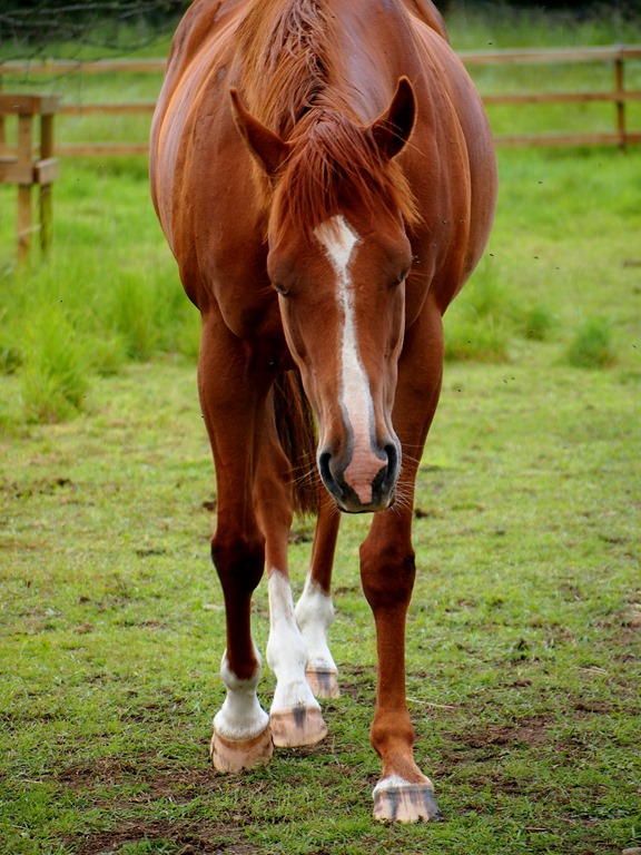 [7%2520July%25208%255B3%255D.jpg]