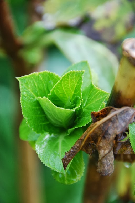 [DSC_0337%255B5%255D.jpg]