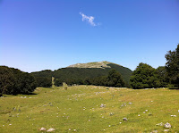 IMG_1454.JPG