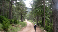 IMG_0648.JPG Photo
