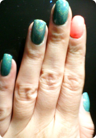 IMG02122 IMG02122