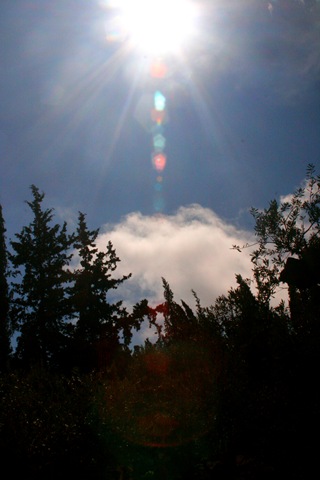 [_MG_74115.jpg]