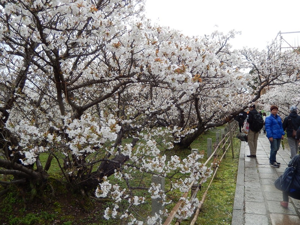 [2013OsakaTrip_Day3_45%255B5%255D.jpg]
