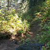 Wilderness Ranger Internship Program - 100_0947.JPG