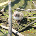 DSCN9519.JPG