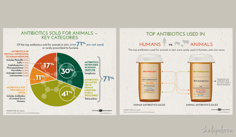 [antibiotic-infographic5.png]
