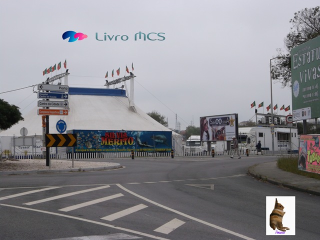 [Bolg%2520Gazeta%2520de%2520Espinho004%2520Livro%2520MCS%255B2%255D.jpg]