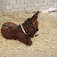 P1010006.JPG