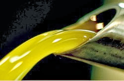 Olio-di-Seggiano Olio-di-Seggiano