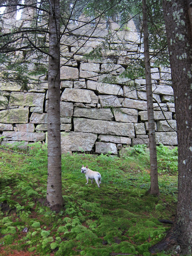 Look at this gargantuan wall!  Are we high in the Peruvian Andes at the ancient city of Machu Picchu?  No, we are not!  We're at Skylands, our home in Maine!