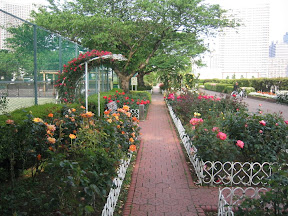 A rose garden in the park at the Shibuara Water Reclamation Center