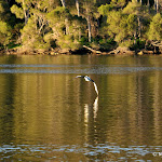 DSC_9902.JPG