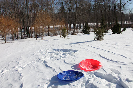 Hey, look, Sharkey!  Flying saucer sleds!  Let's try them out!