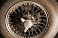 Aston-DB6-Vantage-Barn-Find-15 Aston-DB6-Vantage-Barn-Find-15