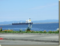 DSCF7403